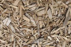 biomass boilers Morriston